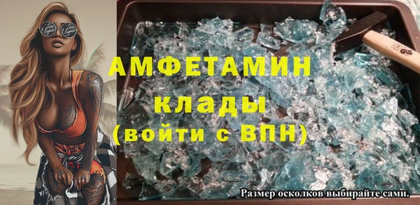 гидра Алексеевка