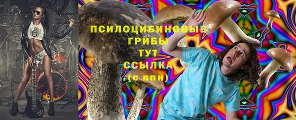 2c-b Алексин