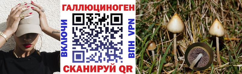 как найти закладки  Жирновск  Псилоцибиновые грибы Psilocybine cubensis 