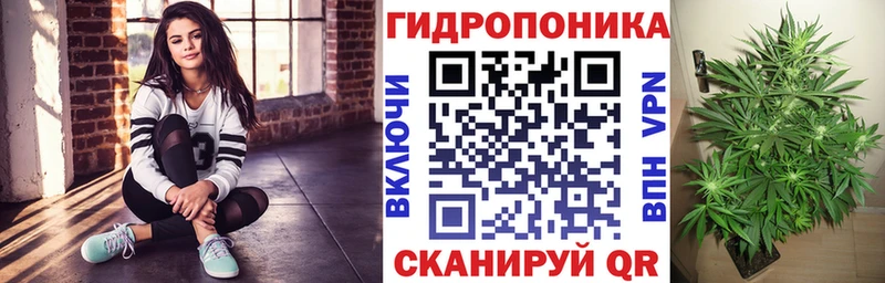 где купить наркоту  Жирновск  Конопля SATIVA & INDICA 